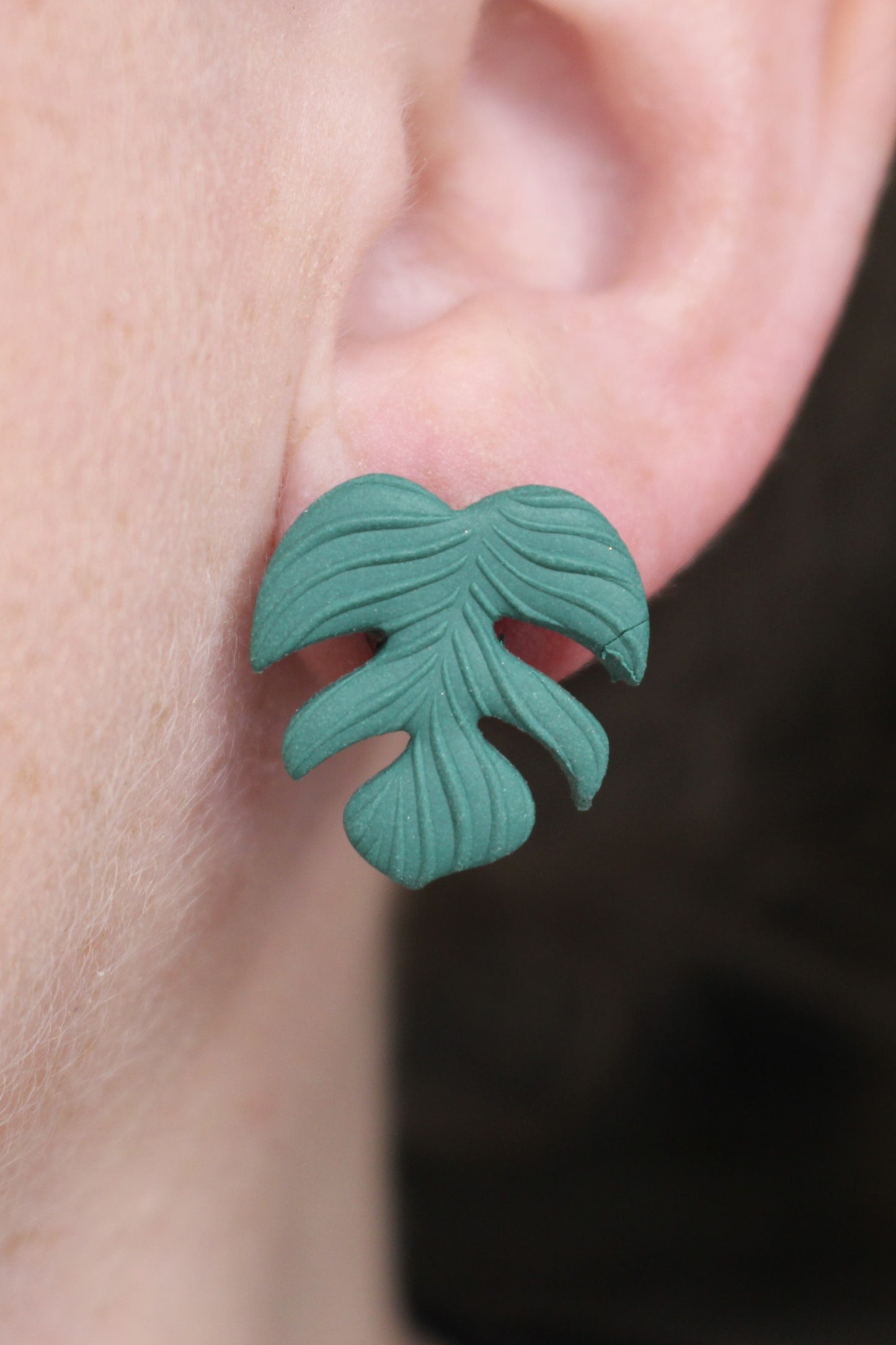 Monstera and lotus stud pack