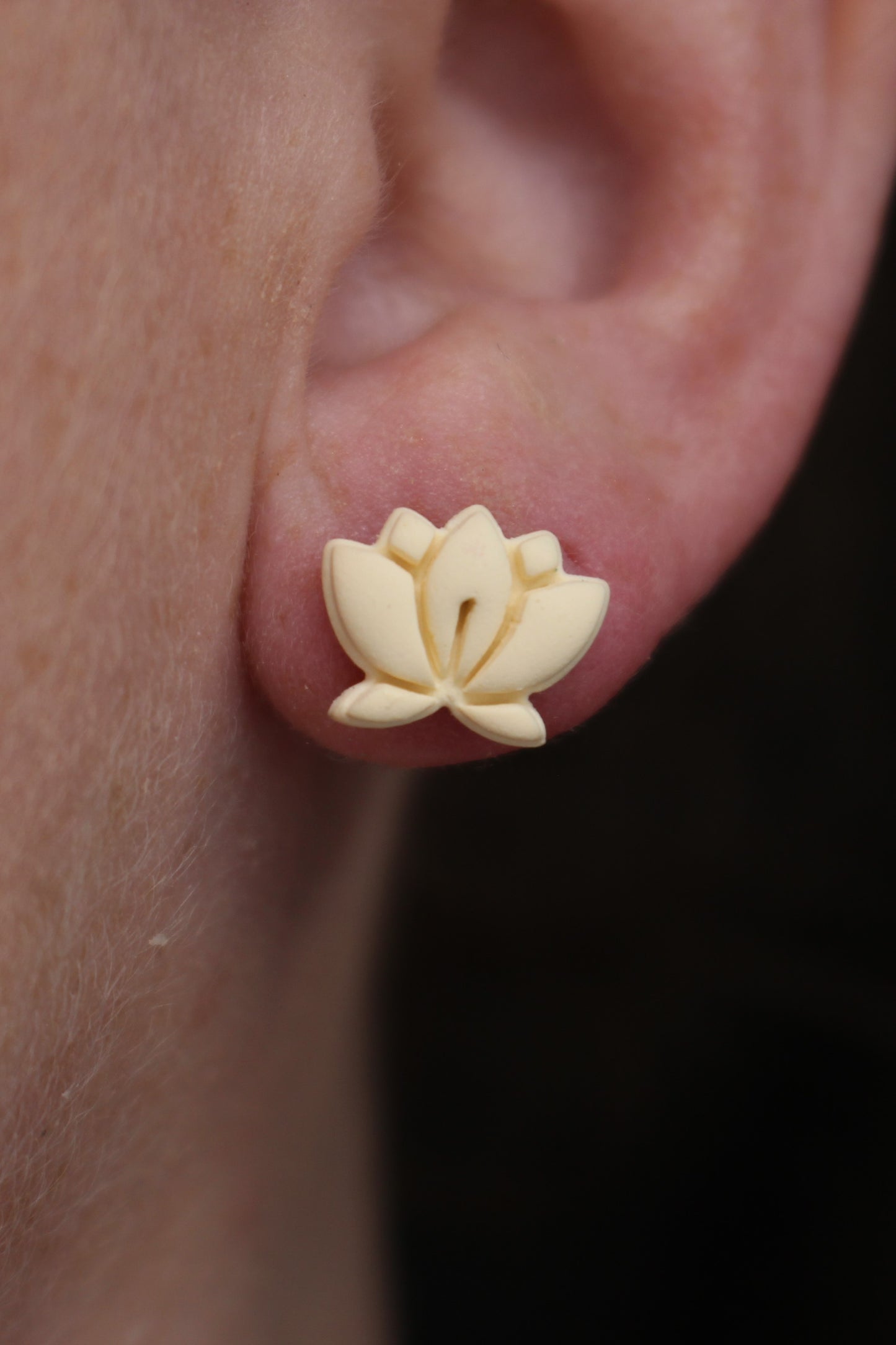 Monstera and lotus stud pack