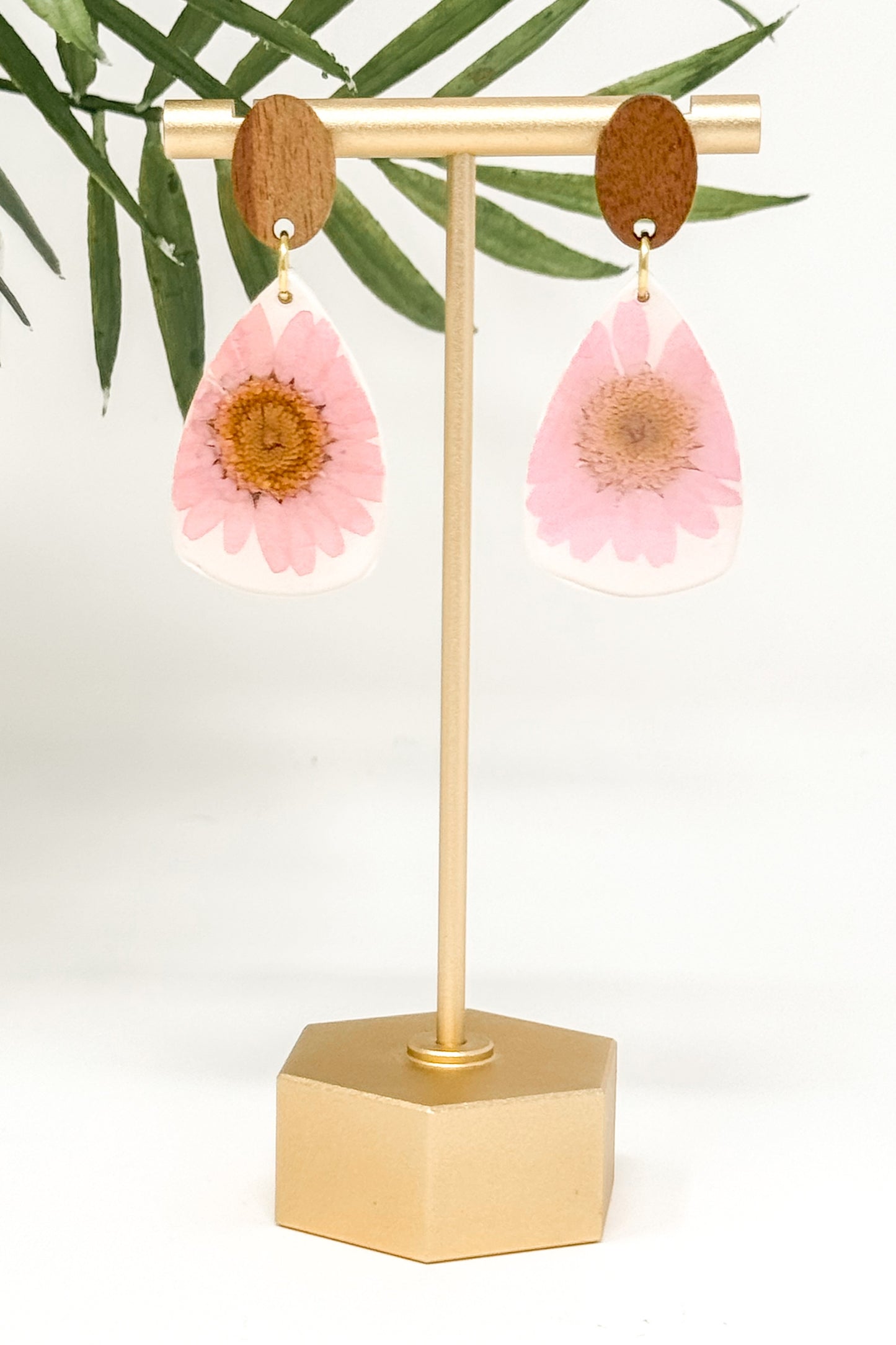 Zinnielle