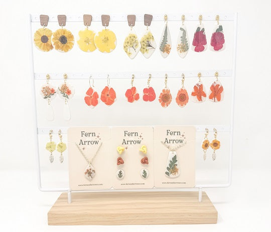 Eternal Sunshine Collection