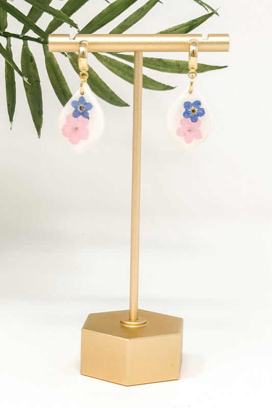 Orchidee
